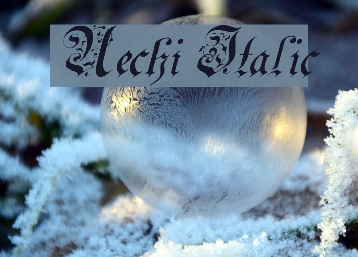 Uechi Italic Font examples