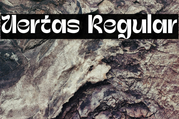 Uertas Regular Example 1