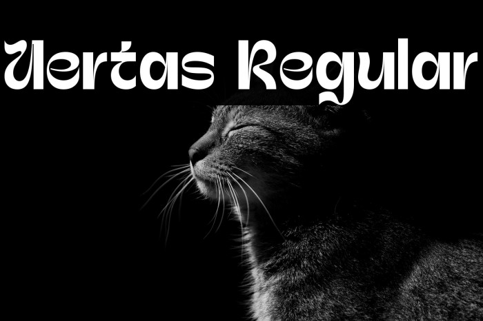 Uertas Regular Example 3