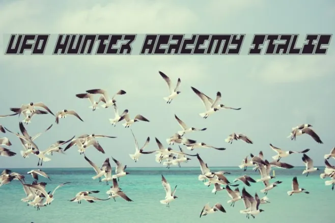 UFO Hunter Academy Italic Example 1