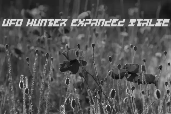 UFO Hunter Expanded Italic Font examples