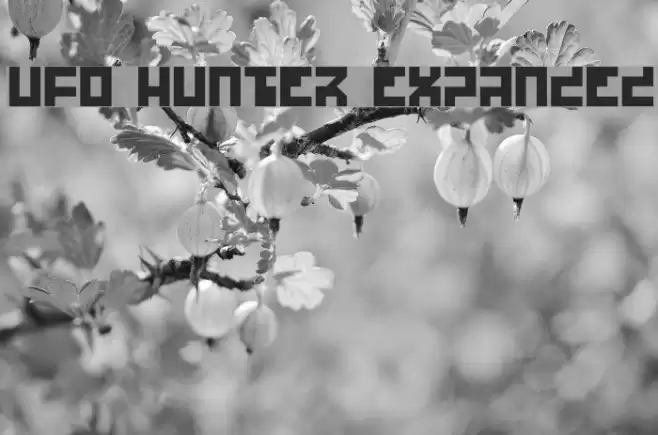 UFO Hunter Expanded フォント examples