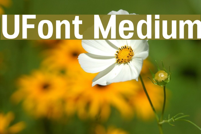 UFont Medium Font examples