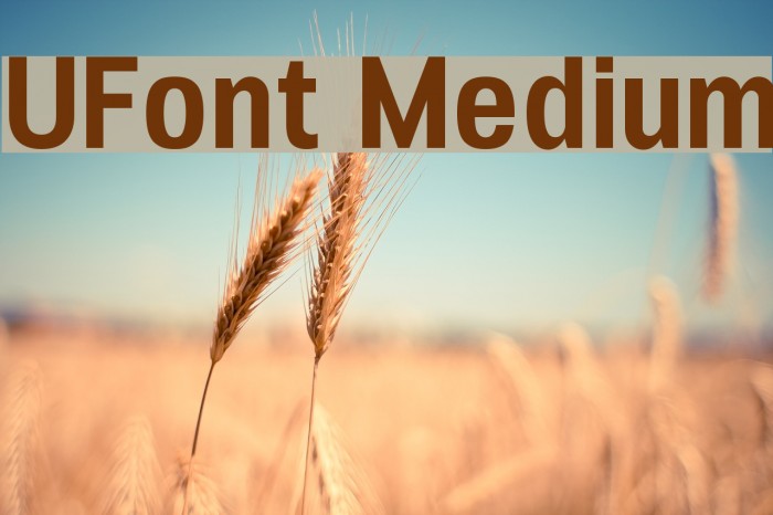 UFont Medium Font examples