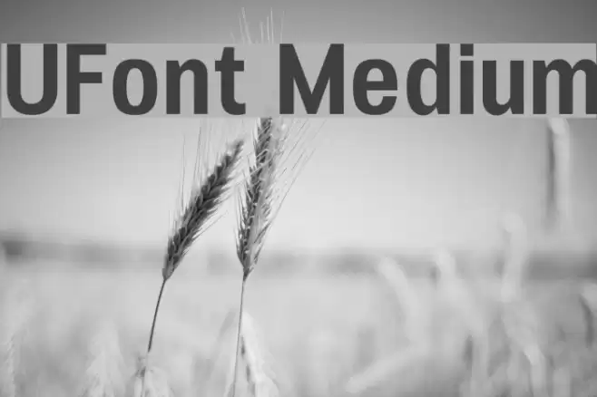 UFont Medium Polices examples