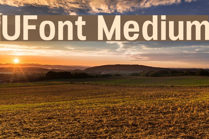 UFont Medium Font examples