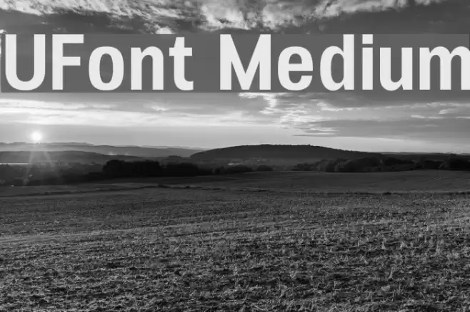UFont Medium Polices examples