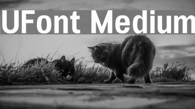 UFont Medium Polices examples