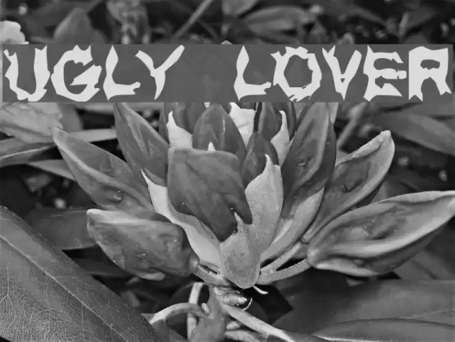 UGLY LOVER Font examples