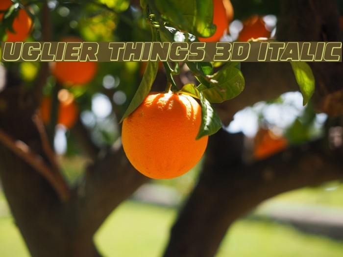 Uglier Things 3D Italic Font examples