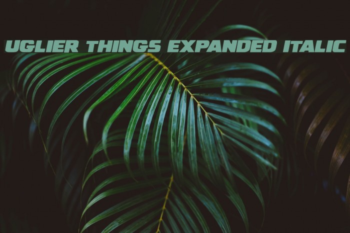 Uglier Things Expanded Italic Example 1