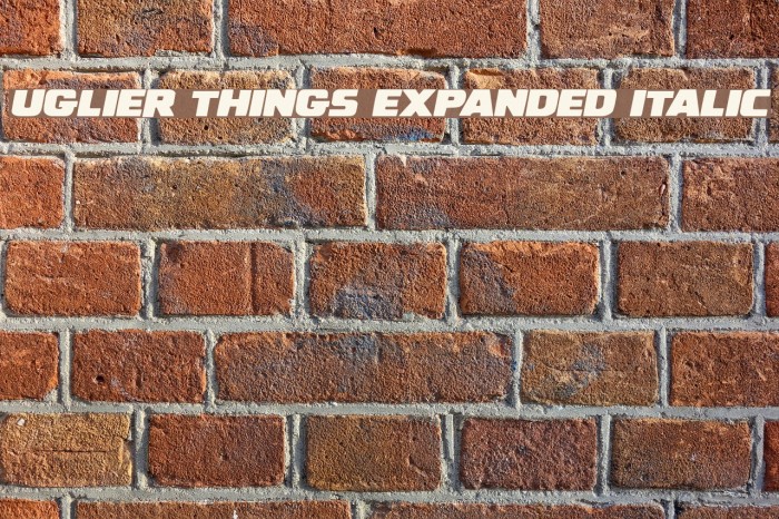 Uglier Things Expanded Italic Example 3