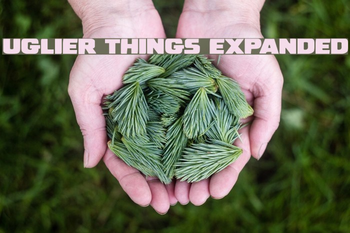 Uglier Things Expanded Example 1