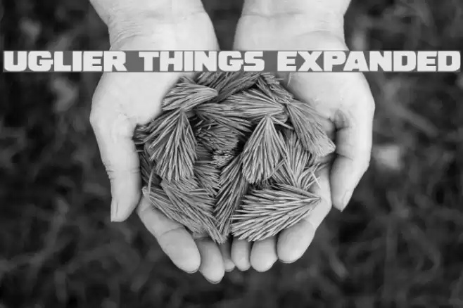 Uglier Things Expanded Font examples