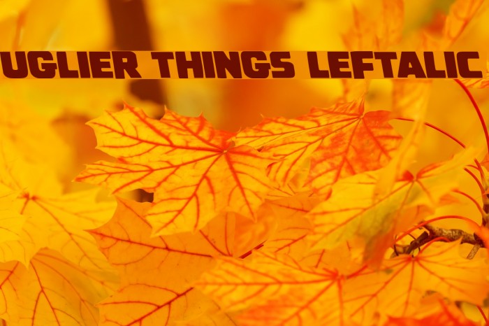 Uglier Things Leftalic Example 1