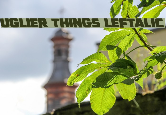 Uglier Things Leftalic Example 2