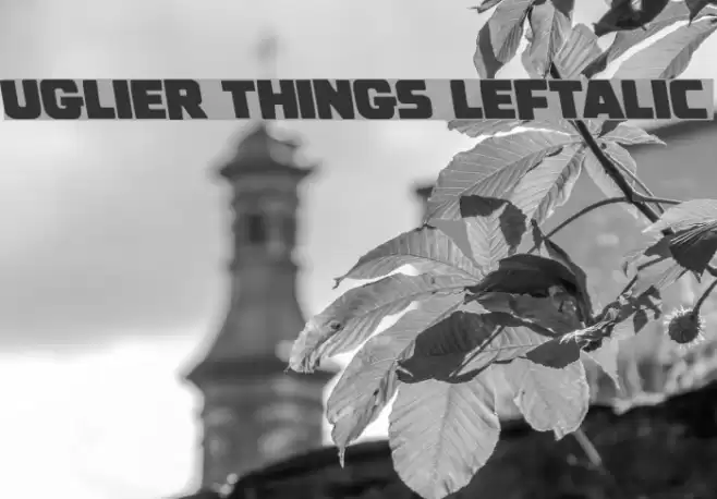 Uglier Things Leftalic Font examples
