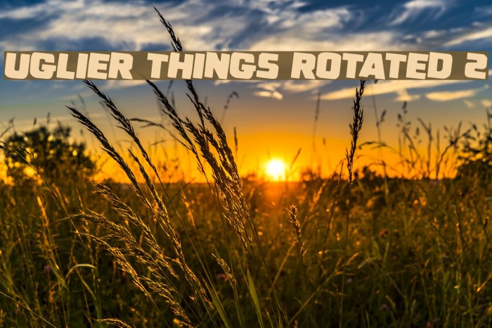 Uglier Things Rotated 2 Font examples