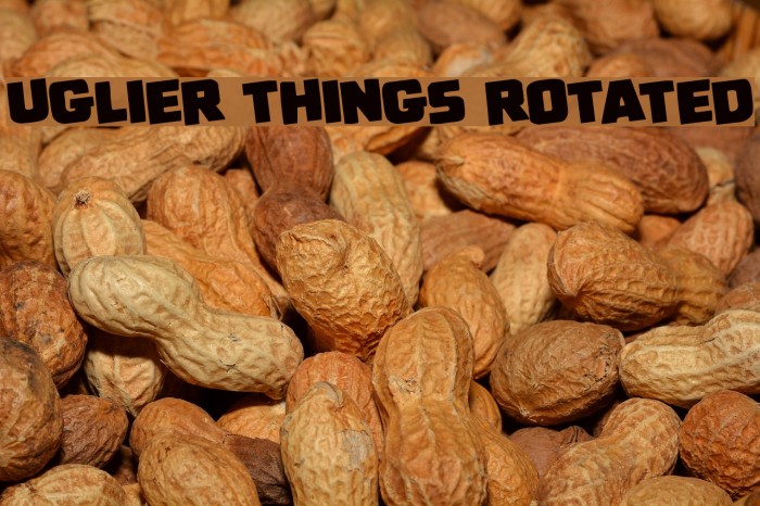 Uglier Things Rotated Font examples