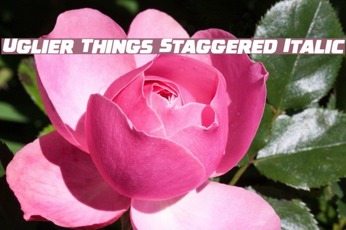 Uglier Things Staggered Italic Example 2