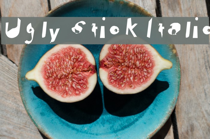 Ugly Stick Italic Font examples