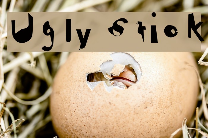 Ugly Stick Example 2