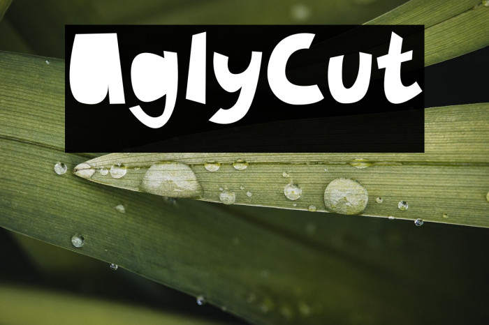 UglyCut Example 2
