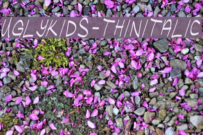 UglyKids-ThinItalic Example 1