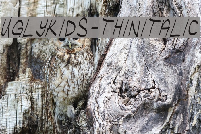UglyKids-ThinItalic Example 3