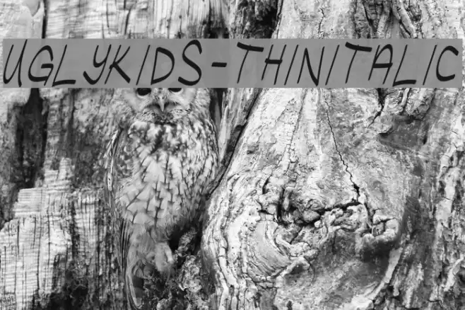 UglyKids-ThinItalic Font examples
