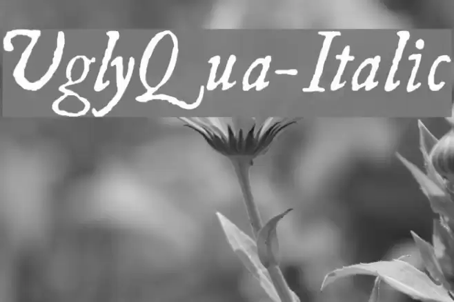 UglyQua-Italic Шрифта examples