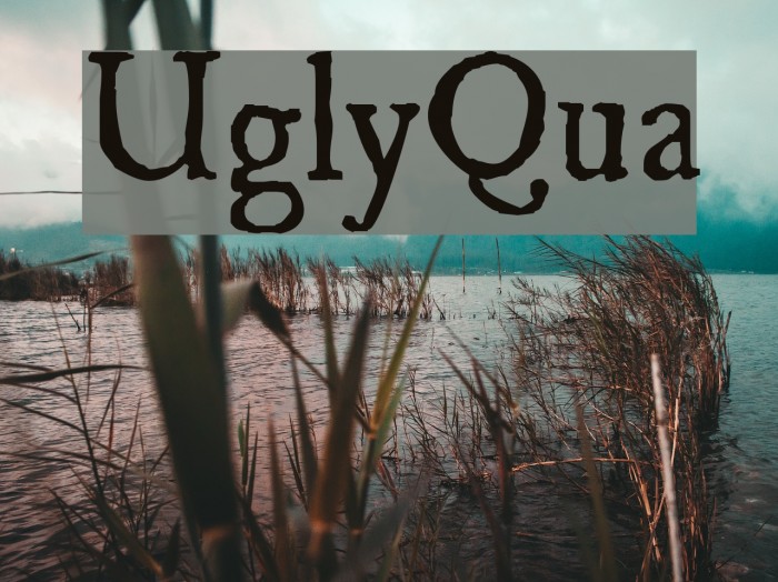 UglyQua Font examples