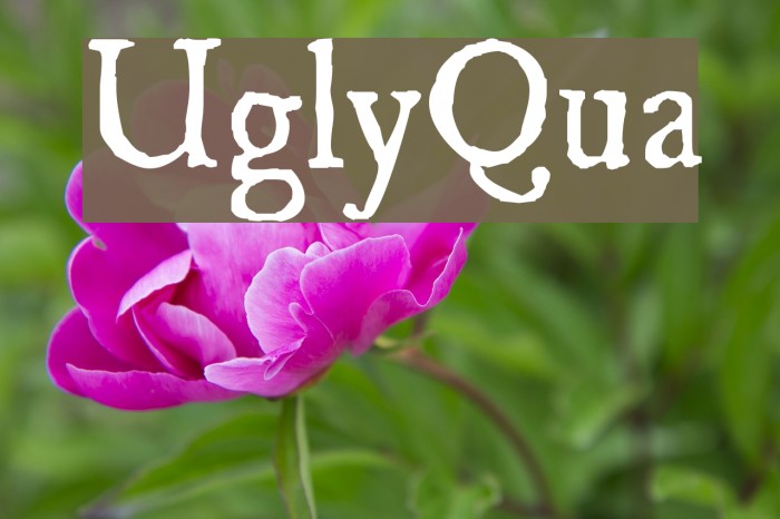 UglyQua Font examples