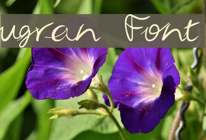 ugran Font examples