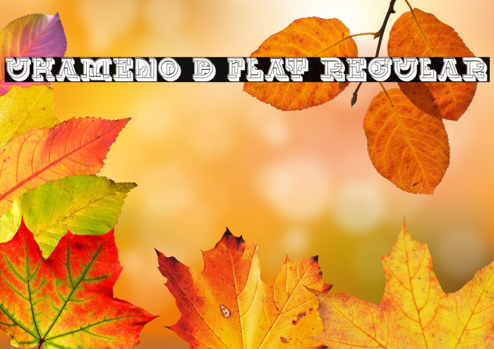 UKAMENO 3D Flat Regular Example 1