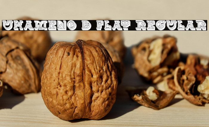 UKAMENO 3D Flat Regular Example 2