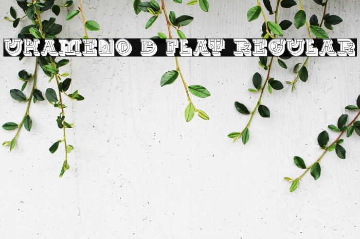 UKAMENO 3D Flat Regular Example 3