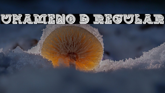 UKAMENO 3D Regular Example 3