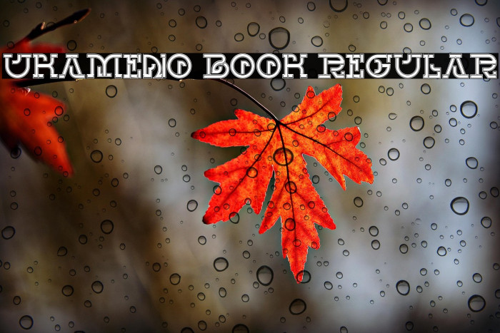 UKAMENO Book Regular Example 1