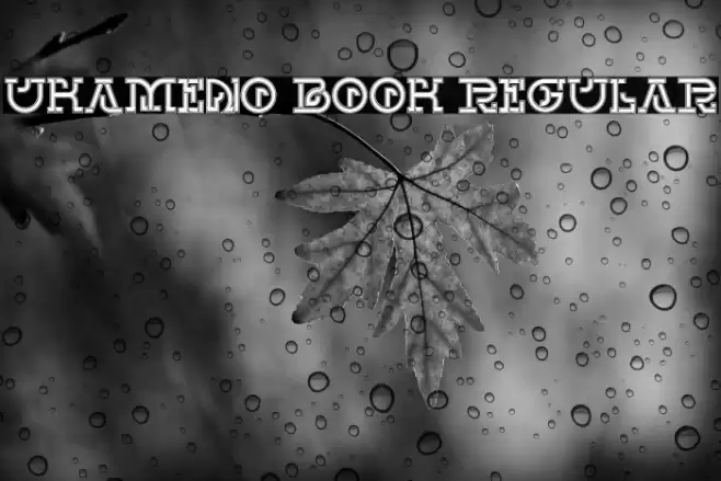 UKAMENO Book Regular Font examples
