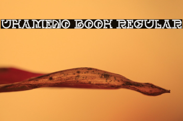 UKAMENO Book Regular Example 3