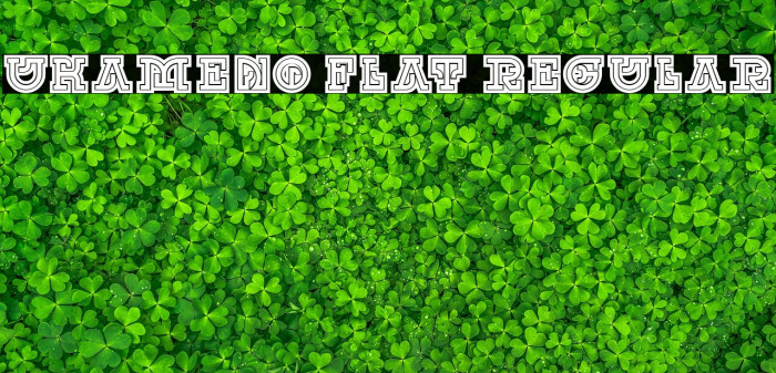 UKAMENO Flat Regular Example 2