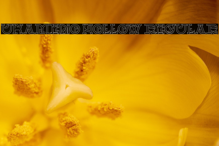 UKAMENO Hollow Regular Example 1