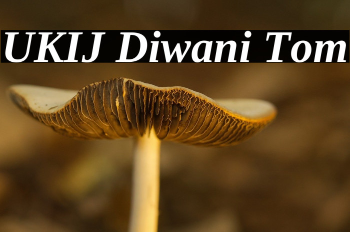 UKIJ Diwani Tom Example 1