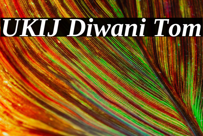 UKIJ Diwani Tom Example 3