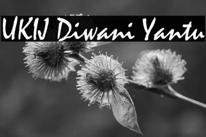 UKIJ Diwani Yantu Font examples