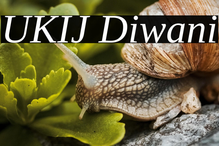 UKIJ Diwani Example 3