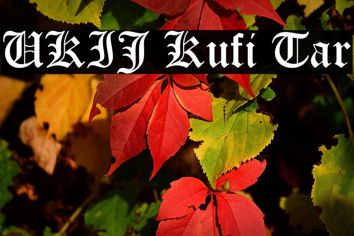 UKIJ Kufi Tar Example 2