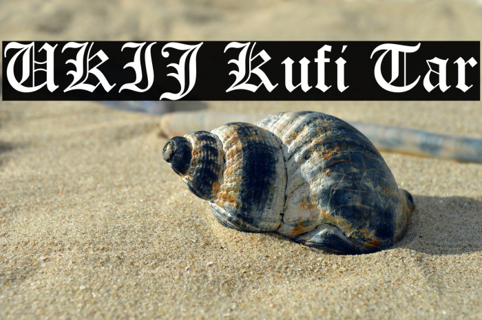 UKIJ Kufi Tar Example 3