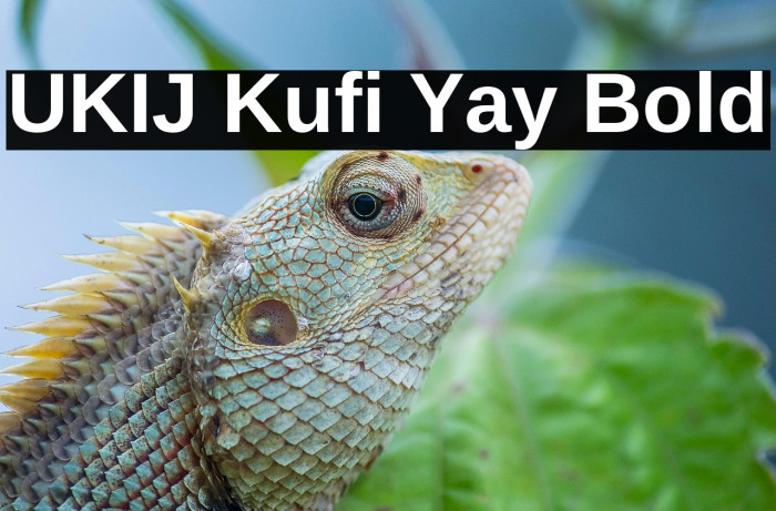 UKIJ Kufi Yay Bold Example 1